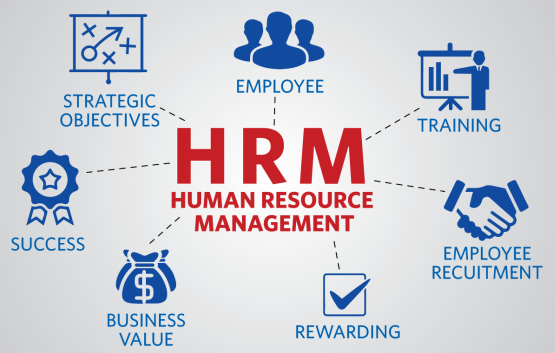 organisation of healthcare services
